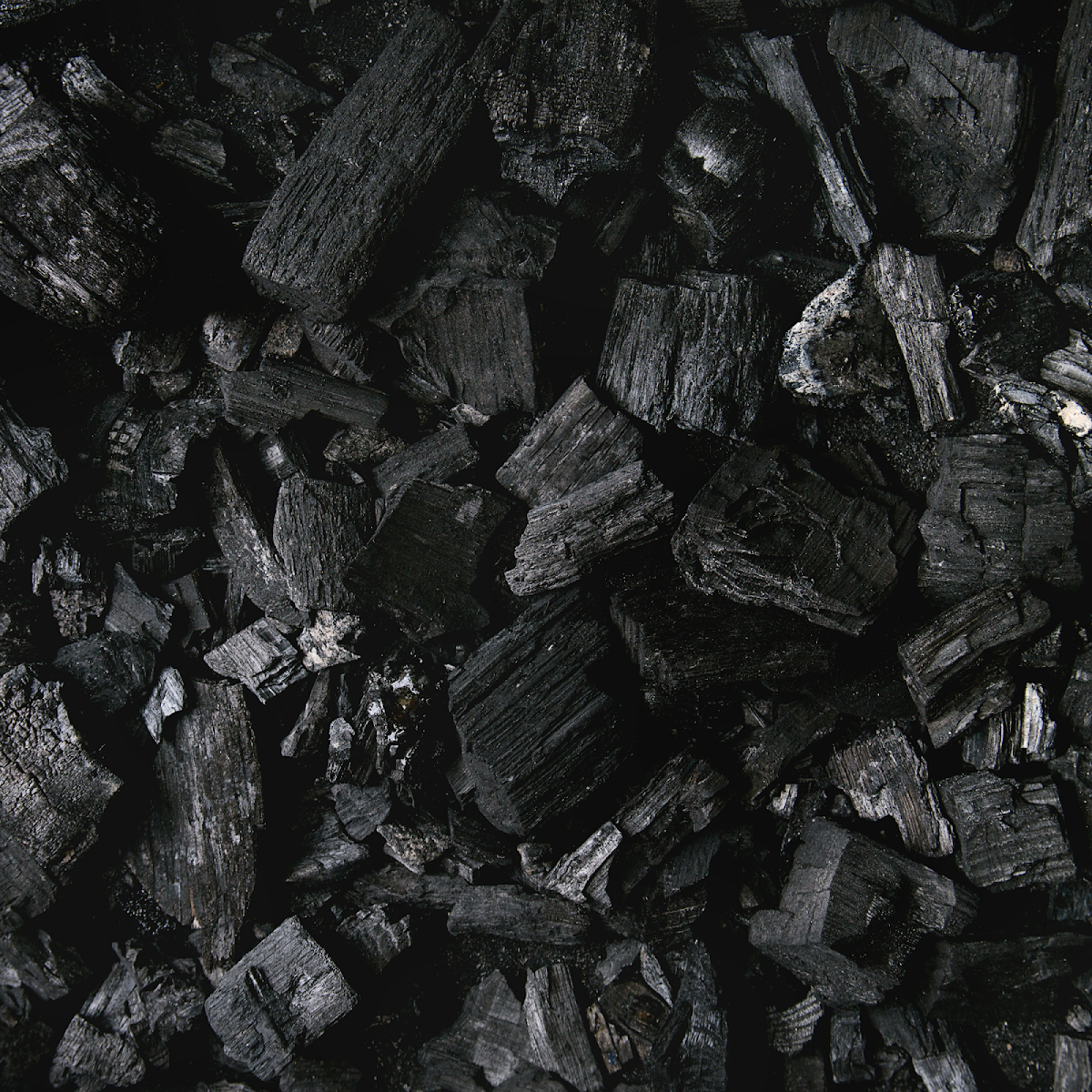 Asadero El Tradicional Photos 2